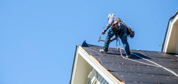 Best Roof Gutter Cleaning  in Waynesville, MO